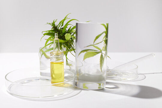 Cbd htc canabbis oil in laboratory. Concept of medicine.