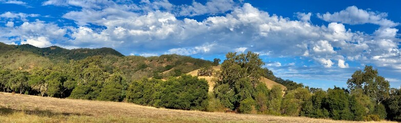 Obraz premium Clear Skies