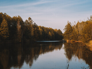 Forest wild lake and autumn forest landscape