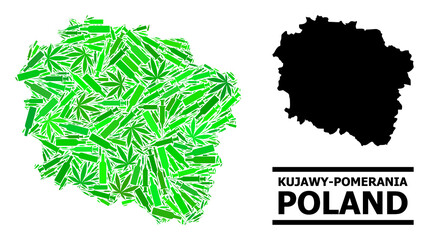 Addiction mosaic and usual map of Kujawy-Pomerania Province. Vector map of Kujawy-Pomerania Province is created of randomized injection needles, herbal and alcohol bottles.