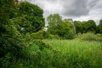 Green Irish Countryside