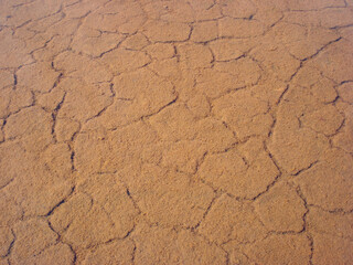view of cracked ground covered in water, in Aveiro’s saline