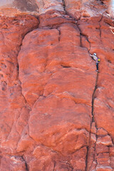 Climbing, Owl Rock, Garden of Eden, Arches National Park, Colorado Plateau, Utah, Grand County, Usa, America