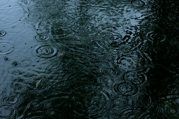 Rain Droplet Texture in Canal Water