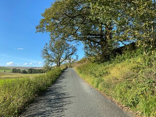 Fototapeta na wymiar Country lane, with wild plants, grasses, and old trees, on a hot summers day near, Halton Gill, Skipton, UK