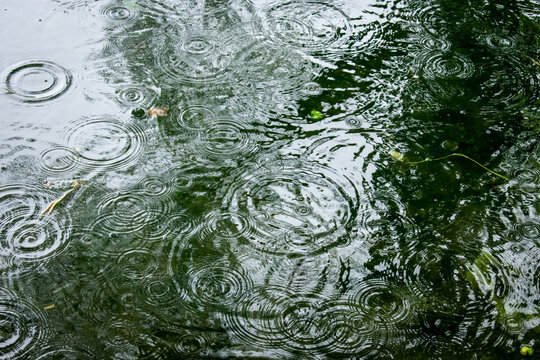 Rain Droplet Texture in Canal Water