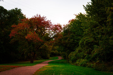 path in the park