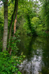 Irish Canal on a Wet Day
