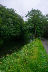 Fototapeta na wymiar Beautiful Irish Canal and Greenery