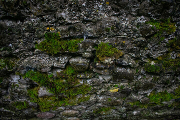 Ancient Celtic Stone Wall with Foliage