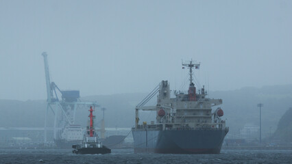 ship in the port