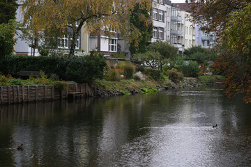 Häuser und Bäume entlang eines Flusses im Herbst