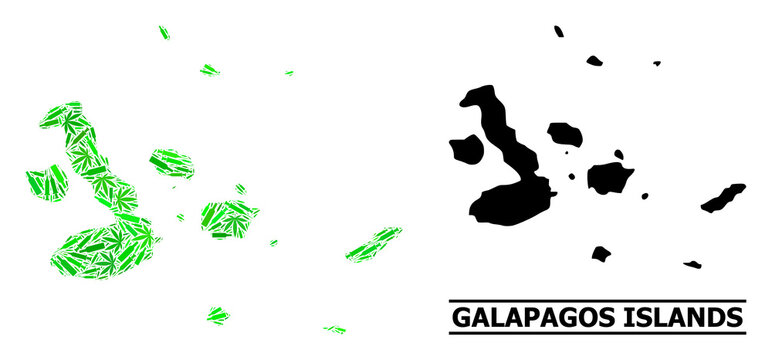 Addiction mosaic and solid map of Galapagos Islands. Vector map of Galapagos Islands is organized from scattered inoculation icons, cannabis leaves and alcoholic bottles.