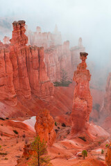 Thor's hammer in Bryce Canyon National Park, Utah, Usa, America