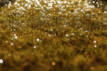 soap bubbles on the grass. selective focus.