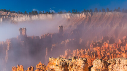 Fog in Bryce Canyon National Park, Utah, Usa, America