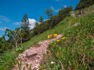 Wendelstein hiking path during summer with blue sky background 