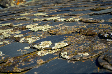 Old grey ruined roofs. Texture of a roof with old roof tiles. Macro close up