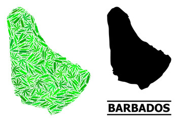 Drugs mosaic and solid map of Barbados. Vector map of Barbados is formed of scattered inoculation icons, cannabis and alcohol bottles. Abstract territory scheme in green colors for map of Barbados.