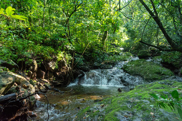 Fototapeta premium el convento