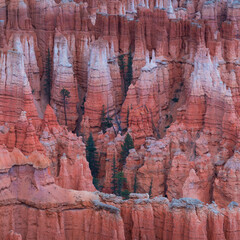 Bryce Canyon National Park, Utah, Usa, America