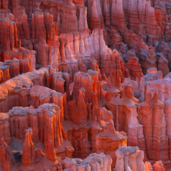 Bryce Canyon National Park, Utah, Usa, America