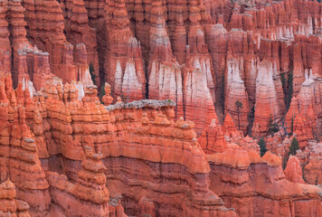 Bryce Canyon National Park, Utah, Usa, America