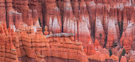 Bryce Canyon National Park, Utah, Usa, America