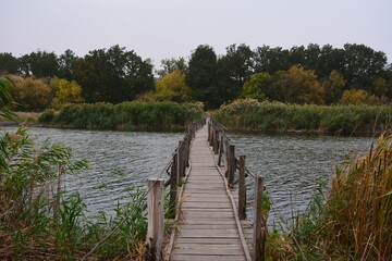 Naklejka premium A small wooden bridge connects the banks of a shallow steppe river.