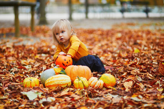 toddler girl playing with colorful pumpkins