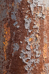 Rusty old shabby metal sheet with paint