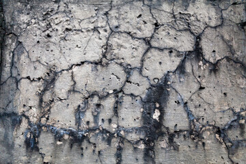 The texture of an old wall made of sandstone or shell rock