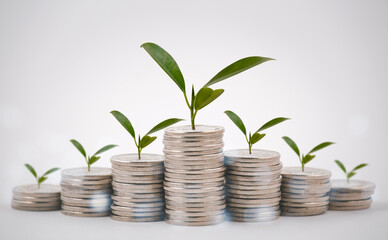 Coins stack and leaf with  line graph  business connect on white background, Saving  ideas and  investment budget, Business saving money concept,Save money for prepare in the future.