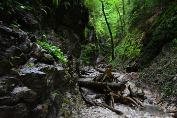Slovak Paradise National Park, a trail in the woods. A beautiful landscape