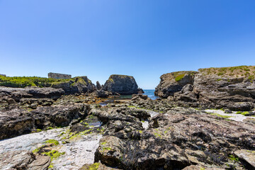 Pointe des Poulains, western coast of Belle-Ile-en-Mer, Brittany, France