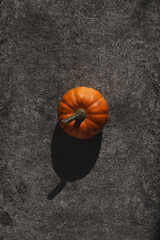 Flatlay with orange decorative pumpkin on stone texture with hard light
