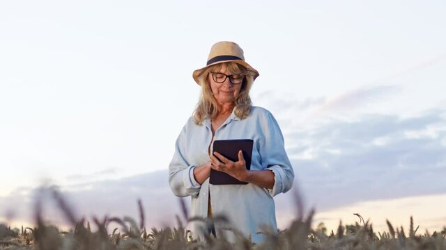 Beautiful Blonde In Hat On Background Of The Sky. She Stands On Field Between Ears Of Wheat With Gadget In Her Hands And Smiles.