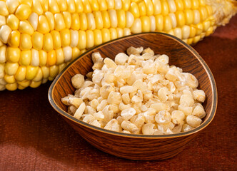 Tender ear of corn grown in Colombia fields - Zea mays