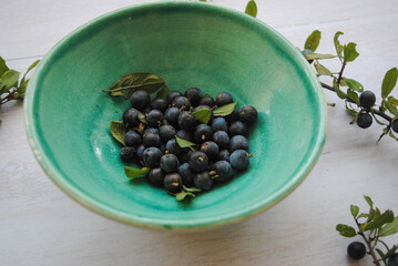 Prunus Spinosa or Blackthorn placed in a ceramic bowl, served on a white wooden background. Healthy wild fruit.

