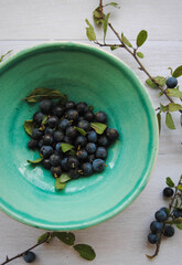 Blackthorn (Prunus Spinosa) placed in a ceramic bowl. Vertical photo.