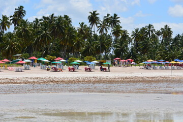 maragogi - alagoas