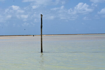 Obraz premium maragogi - alagoas