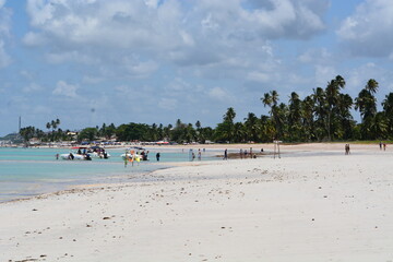 Fototapeta premium maragogi - alagoas