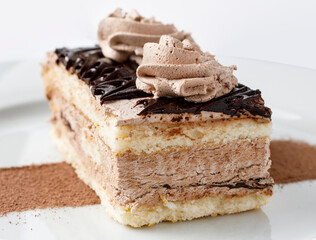 Chocolate and cocoa cake dessert