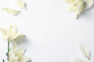 Fototapeta na wymiar Frame of beautiful lily flowers on white background, flat lay. Space for text