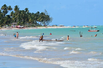 maragogi - alagoas