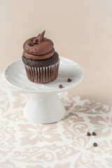 One Chocolate Cupcake with Chocolate Icing and Mini Chocolate Chips on White Pedestal with Tan Background