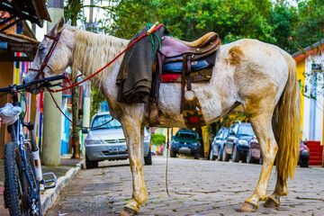 Horse parking São Francisco Xavier village in Sao Paulo Brasil