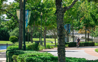 bicyclist on a sidewalk riding through a public park.