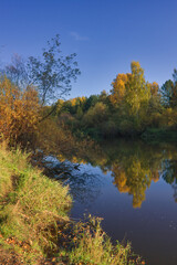 Autumn landscape, forest trees are reflected in calm river water against a background of blue sky and white clouds.